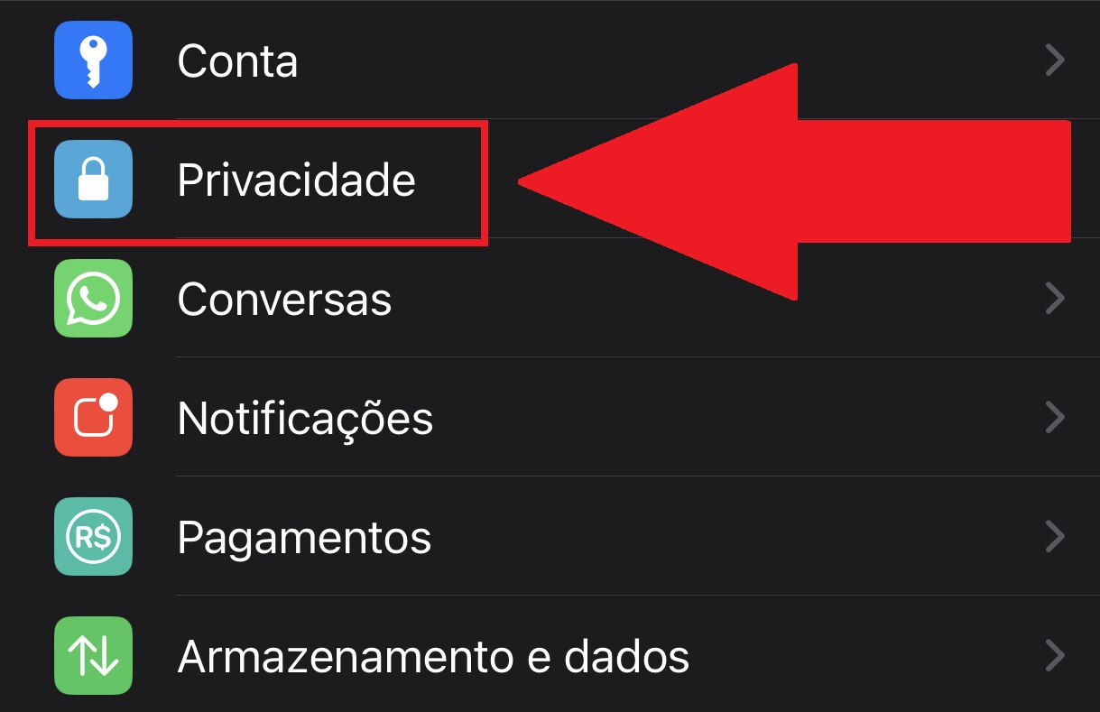 Toque na opção privacidade